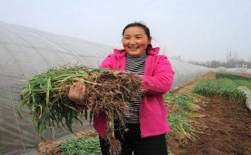 干农活作文600字5篇