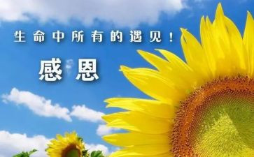 感谢那个为我提灯的人作文600字5篇