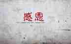 感谢老师们讲话稿7篇