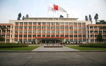 高校教师的个人总结5篇