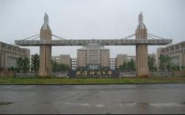 2024高校教师述职报告精选6篇