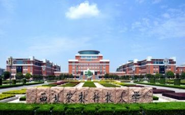 高校教师科研个人总结7篇