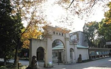 高校教师个人总结工作总结8篇