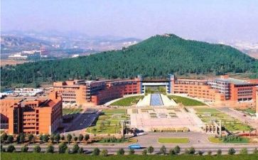 高校教师年度述职报告6篇