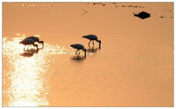 一分收获一分耕耘作文8篇