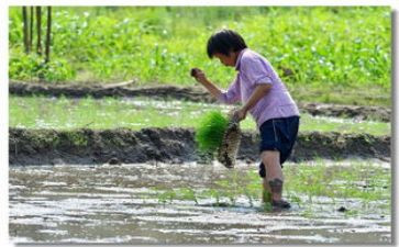 一分收获一分耕耘作文模板5篇