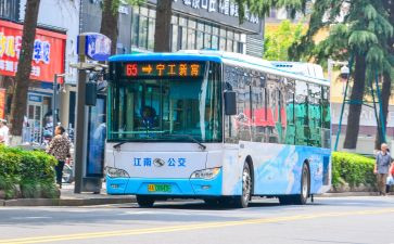 城市公交司机的工作总结6篇