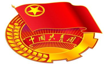中国共青团的奋斗征程心得体会5篇