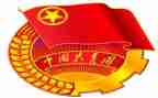 中国共青团的奋斗征程心得体会5篇