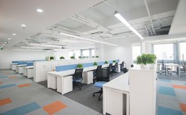新成立公司年工作计划7篇