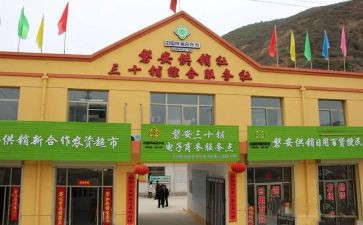县供销社年度工作总结5篇