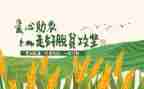 致富带头人典型事迹6篇