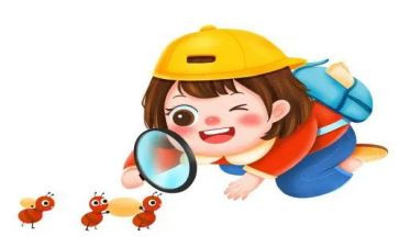小学四年级作文观察作文5篇