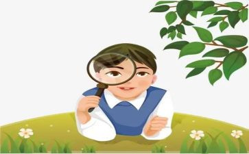绿豆观察日记作文8篇