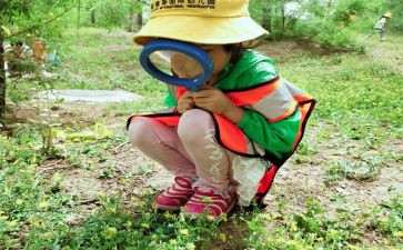 物体观察教案8篇