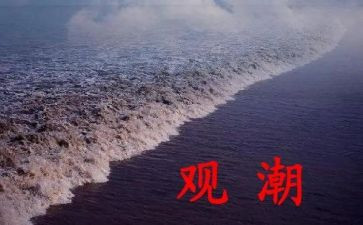 观潮的心得体会100字推荐6篇