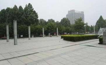 在广场的蟋蟀的读后感精选6篇