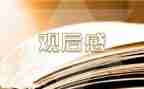 篮球梦观后感7篇