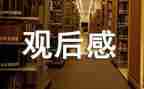 煤矿心得体会和观后感8篇