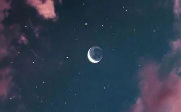 观月活动方案参考7篇