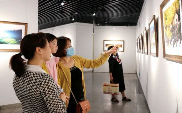 观展心得体会300字模板7篇