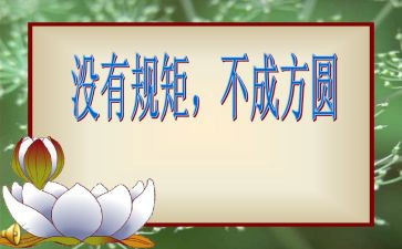 讲规矩讲纪律心得体会优秀8篇