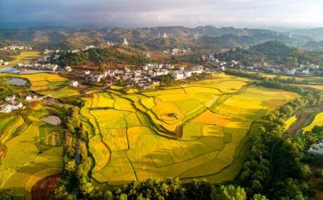 贵州之旅的作文7篇