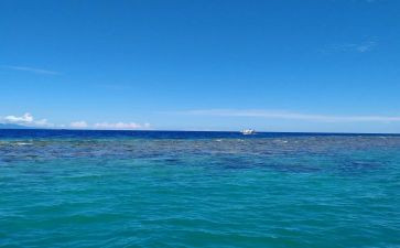 海运运输合同5篇