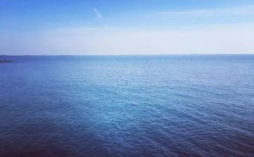 《海燕》的读后感最新7篇