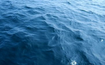 海居租房合同6篇