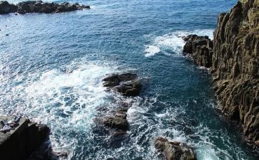 海训游泳心得体会6篇