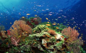 《海底》读后感最新8篇