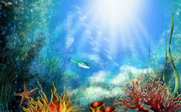 海底的鱼作文优质8篇