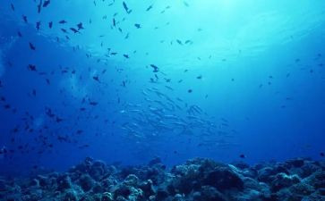 海底两万里的读后感通用6篇