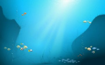 《海底》读后感精选5篇
