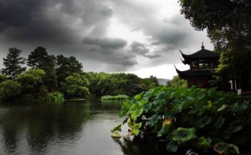 杭州旅游记作文优秀5篇