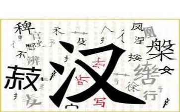 有故事的汉字读后感6篇