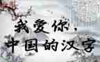 汉字奇兵读后感5篇