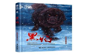 黑焰章节读后感8篇