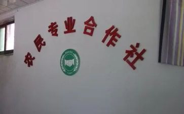 县合作社调研报告6篇