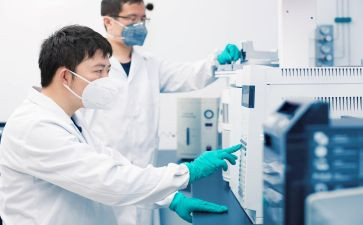 汛后检查工作报告模板6篇