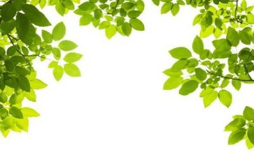 年度的环保工作计划最新7篇