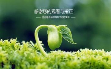 2024年环保所工作总结6篇