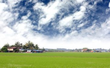 以环保为调查写调查报告精选5篇