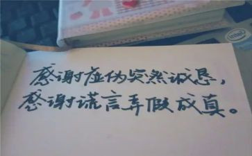 我——谎言作文8篇