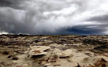 荒野的读后感最新8篇