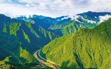 跟环境有关的演讲稿8篇