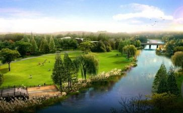 我们的环境的作文6篇