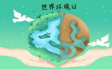 6.5环境日活动总结推荐5篇