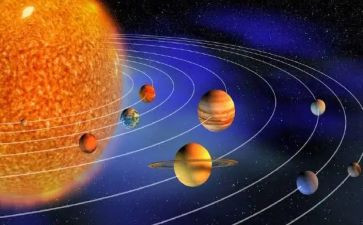 鱼的幻想读后感5篇